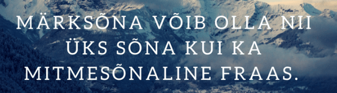 kodulehe optimeerimine