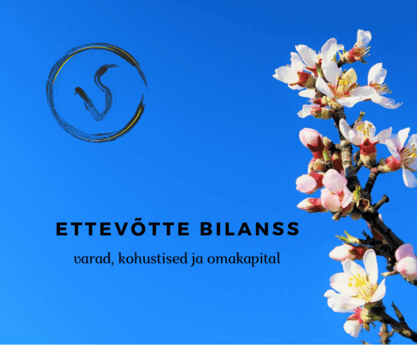 ettevõtte bilanss