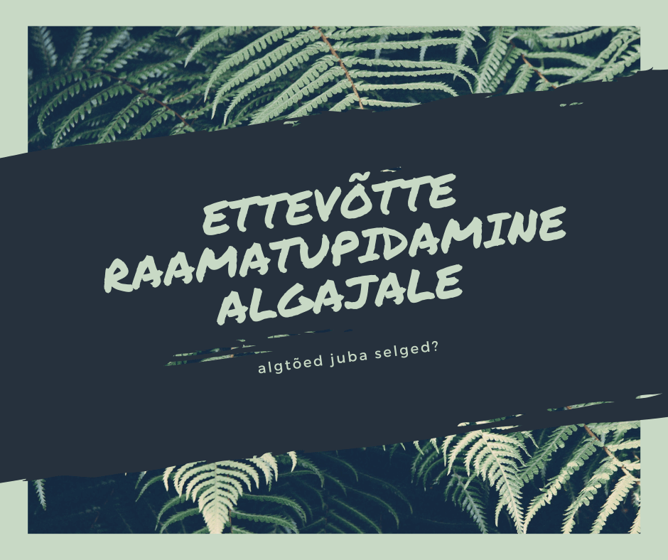 ettevõtte raamatupidamine algajale